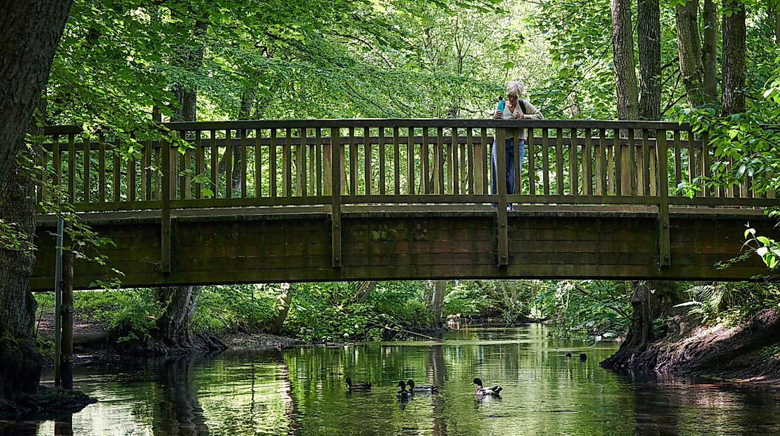 Waldführung Bad Bramstedt