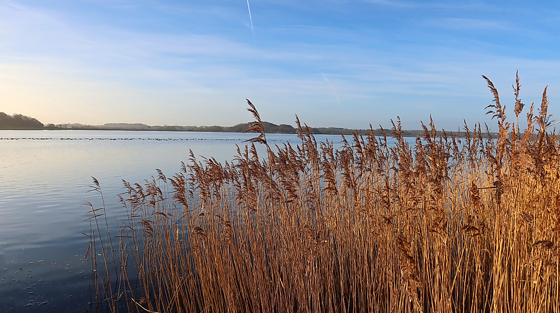 luetjensee_c-neelam279_pixabay_6939659_1