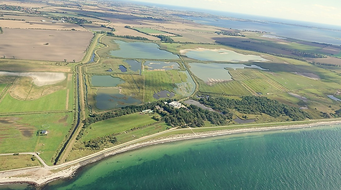 Das NABU Wasservogelreservat Wallnau von oben.