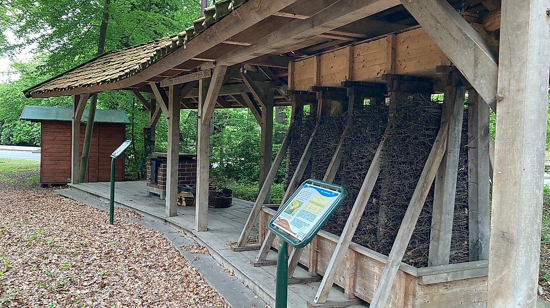 Sülze-Saline-ccbysa-GLink-250606-3