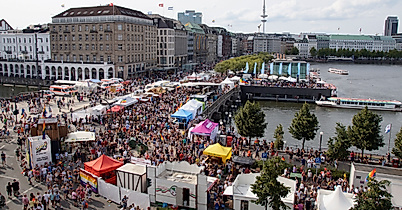 Bird's eye view CSD