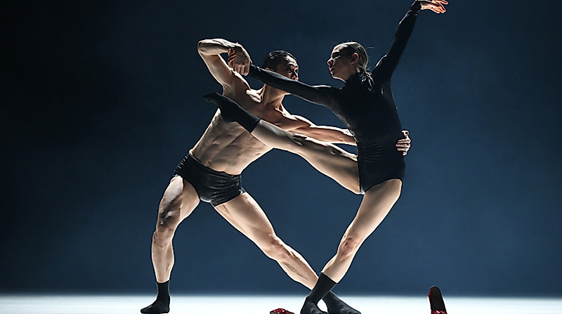 Emotions of Dance