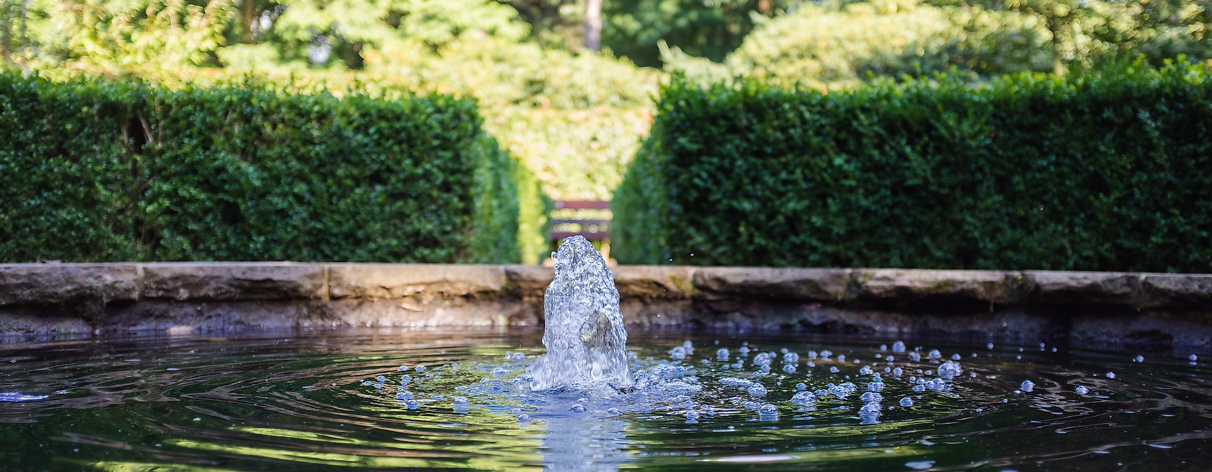 Wasser sprudelt aus einem Brunnenbecken, eingefasst von Hecken und Bäumen in einer ruhigen Parkanlage.