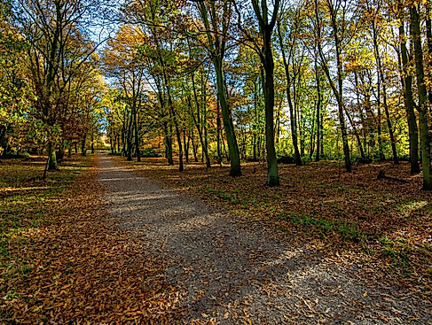 Bild von Tim Hill auf Pixabay
