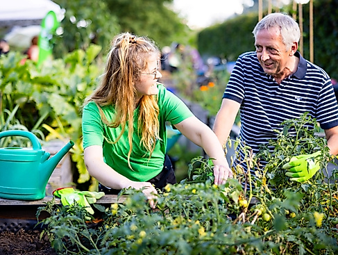 Hochbeet BUND HH Joerg Farys