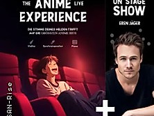 The Anime Experience