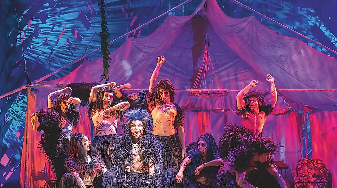 Tarzan Hamburg Szenenmotiv Affen