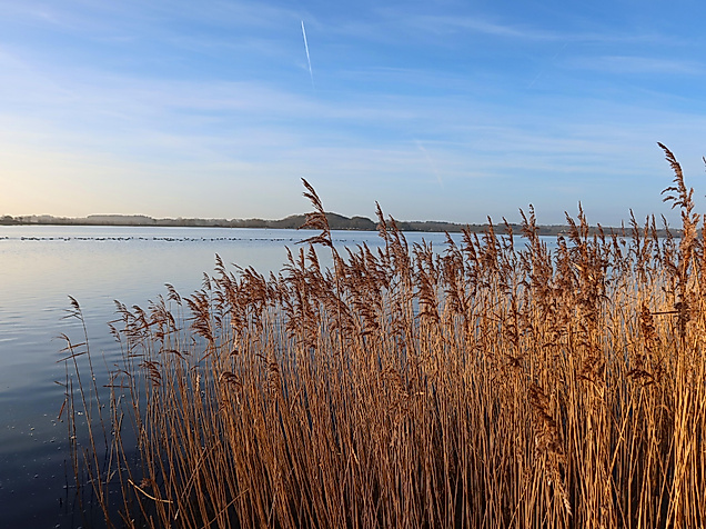 luetjensee_c-neelam279_pixabay_6939659_1