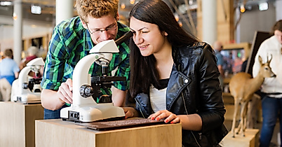 20130606_waelderhaus_ARLT-004