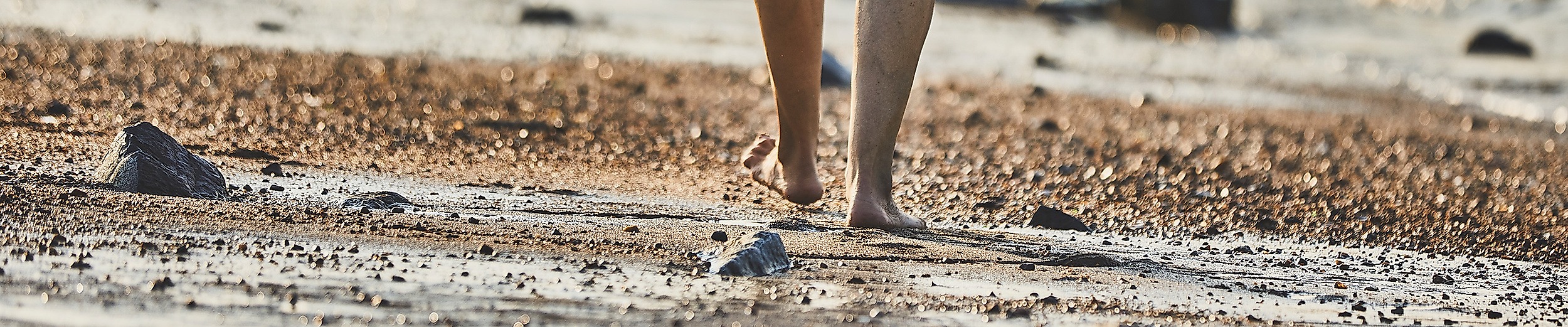 Person läuft barfuß am Elbstrand im nassen Sand am Ufer entlang