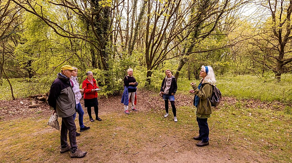 Heilpflanzenkundlerin und Kräuterexpertin Iris Bein im Wald in Klingberg