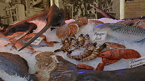Fischparty 2025
