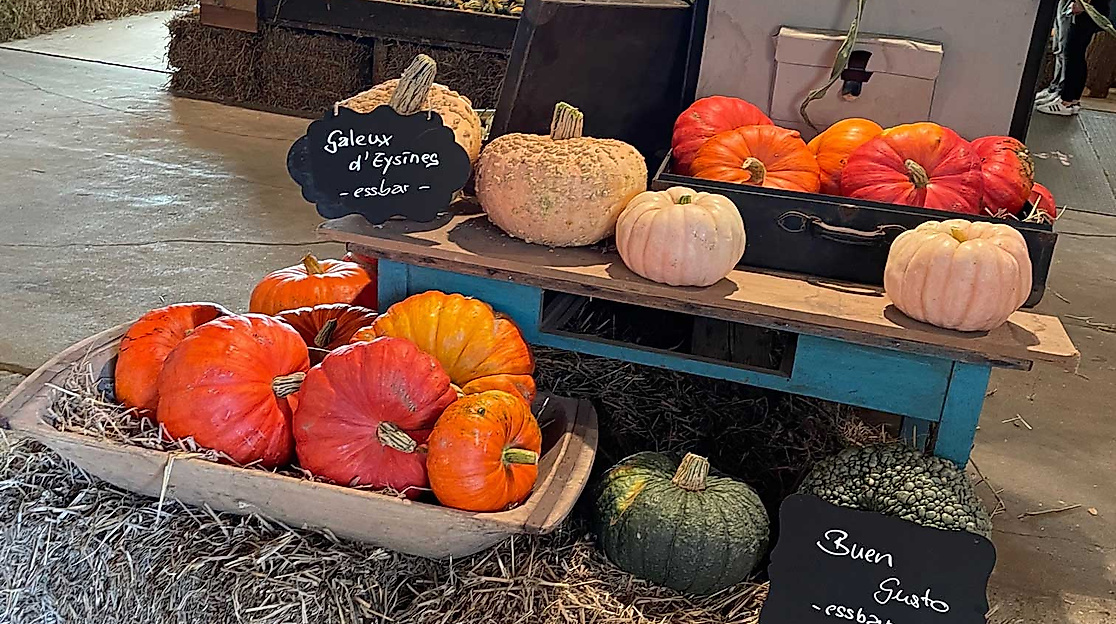 Hofladen-mit-mit-Kürbissen-Kürbisscheune-Worth-C-Kürbisscheune-Worth