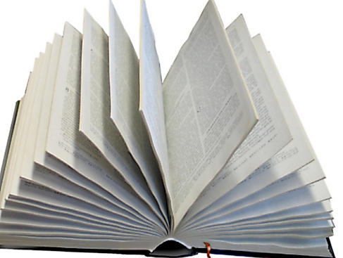 Gespräch zu biblischen Themen