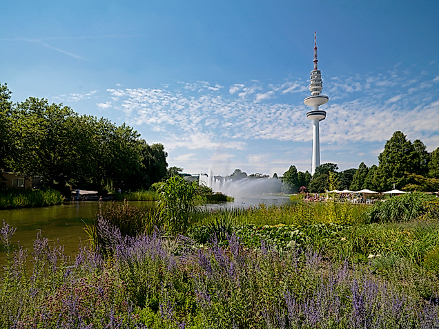 planten-un-blomen_blick-auf-den-fernsehturm_c-christian-spahrbier