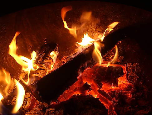 Lagerfeuer-Diplom der Naturwerkstatt | Workshop