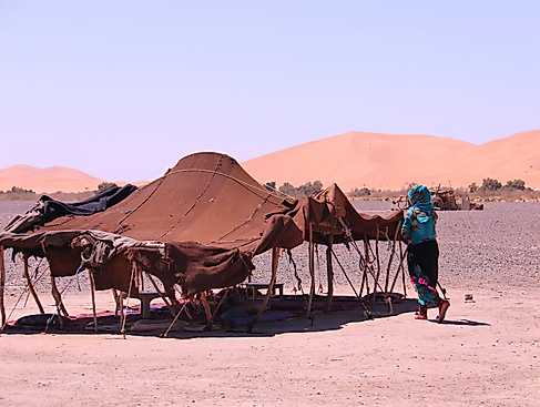 26-05-10_Lit.Cafe_Leben-in-der-Wueste pixabay