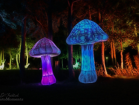 Nordlichter Bremervörde 2026