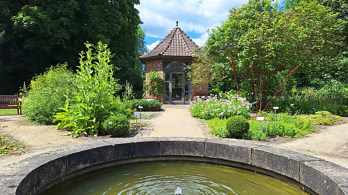 Workshop Butter & Frischkäse selbst herstellen