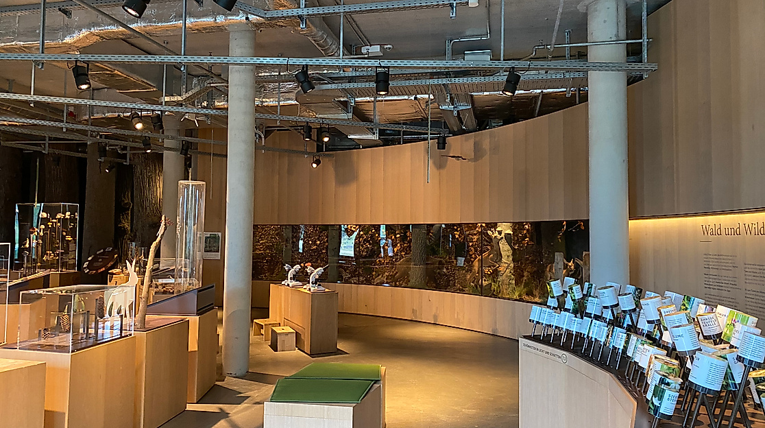 Science Center im Wälderhaus