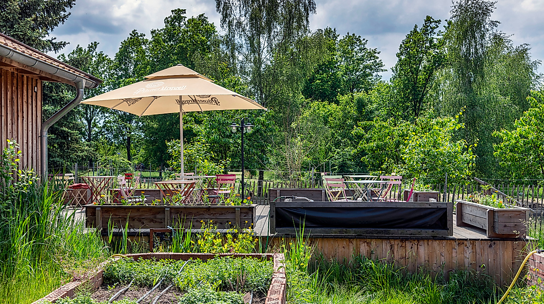 Pflanzen-Markt mit Beratung
