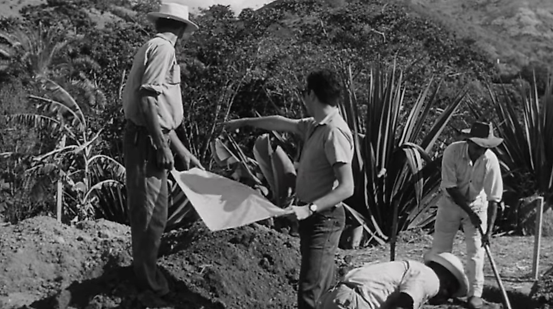 Filipe Lippe, »Ossos do Ofício« (Berufsrisiko), 2026, Essayfilm (Still)
