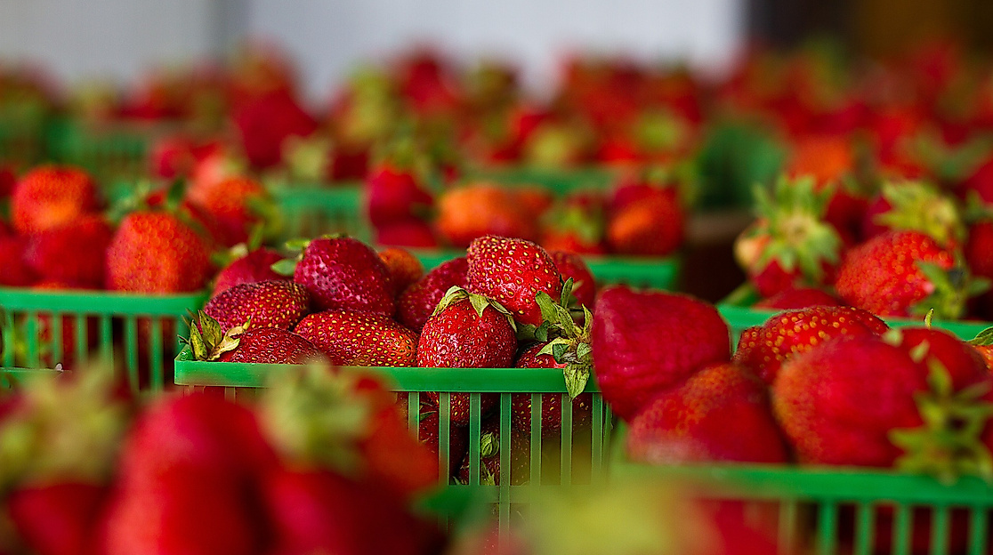Wochenmarkt Kattjahren/Halenreie