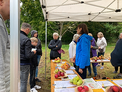 Infostand