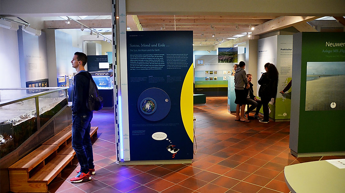 Ausstellung im Nationalpark-Haus Neuwerk zur Nordsee mit interaktiven Stationen und Infotafeln für Besucher:innen