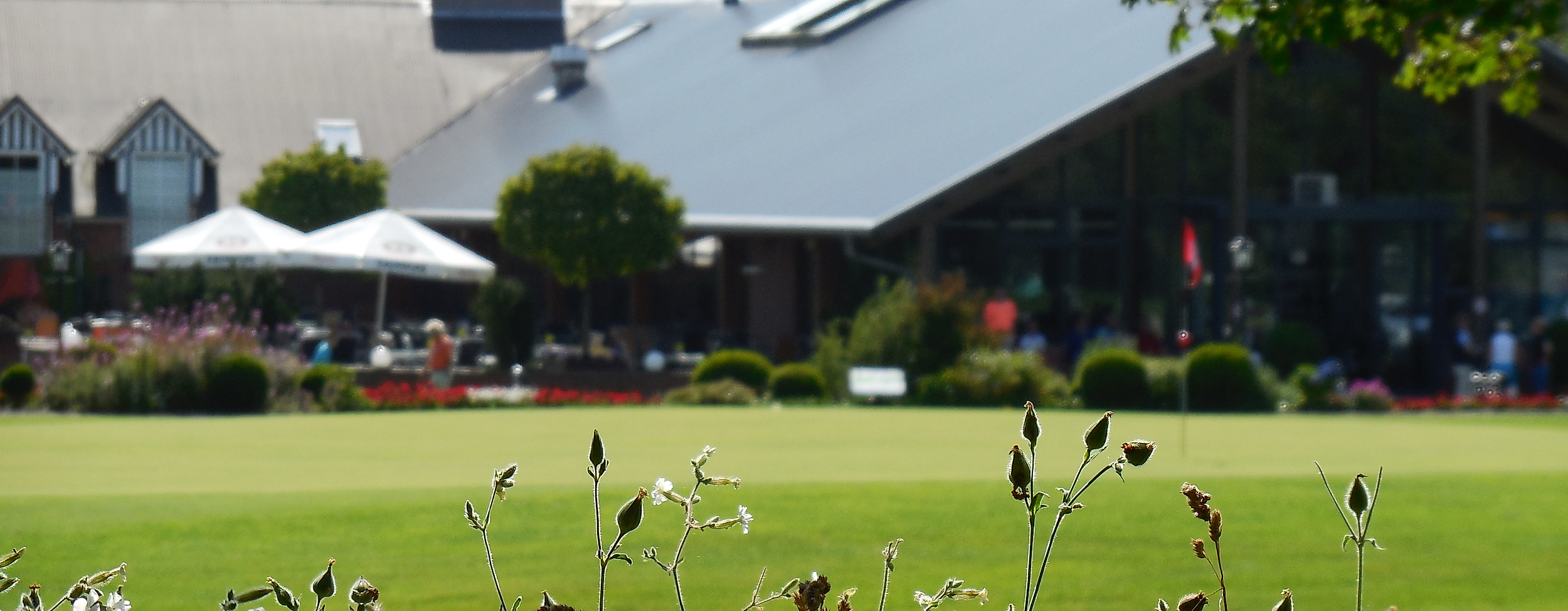 golfpark-weidenhof_c-golfpark-weidenhof_02