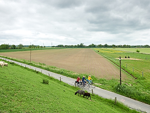 Geführte-Radtour-(c)-GDM,-Fotograf-Kratz