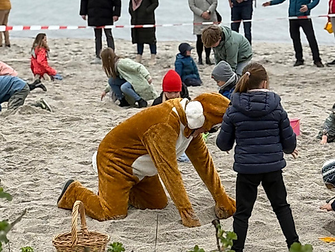 Osterhase sucht Zeitlos