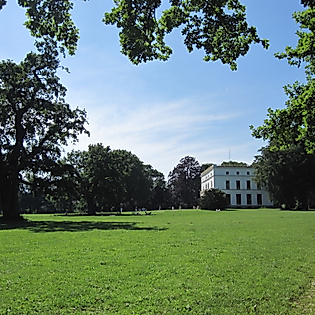 Weite Rasenfläche im Jenischpark mit altem Baumbestand und Blick auf das klassizistische Jenisch-Haus