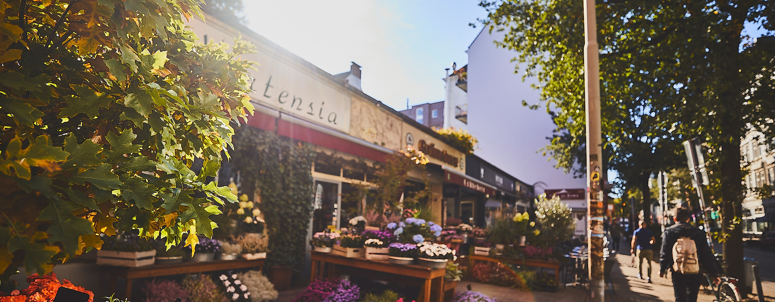 Belebte Außengastronomie an der Langen Reihe in Hamburg-St. Georg mit Blumenbeeten und Sonnenlicht am Nachmittag