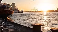 Sonntagmorgen Spezial zum Fischmarkt!
