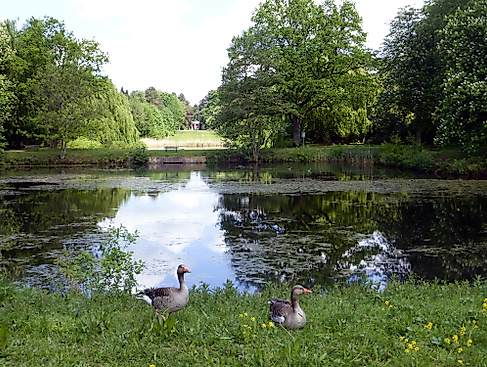 ohlsdorf-fahrradlesetour-2026-teich-foto-ayna-steigerwald