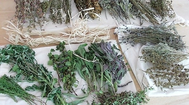 11 heimische Pflanzen für Frauenpower