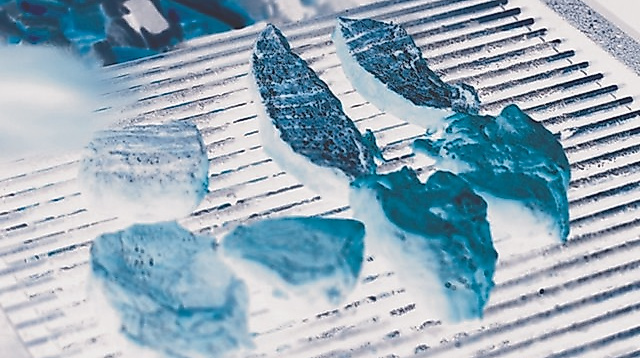 Grillabend der FFW Lenste