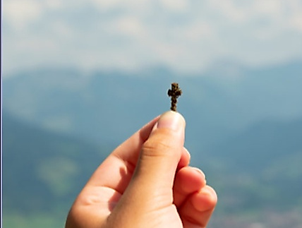 Konzert mit der Chorgemeinschaft Neustadt in Holstein