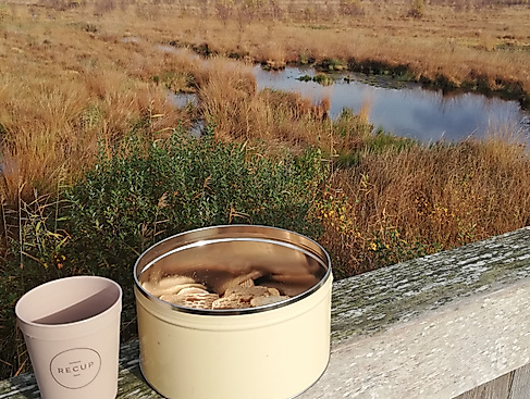 Moorbahn Winterfahrt mit Punschpause