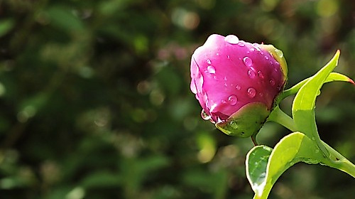 Pfingstmontag in Maria Grün