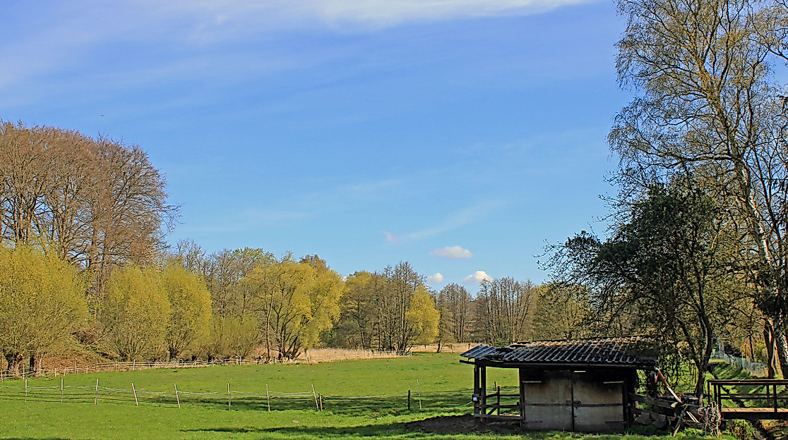 Naturschutzgebiet Heimfelder Holz