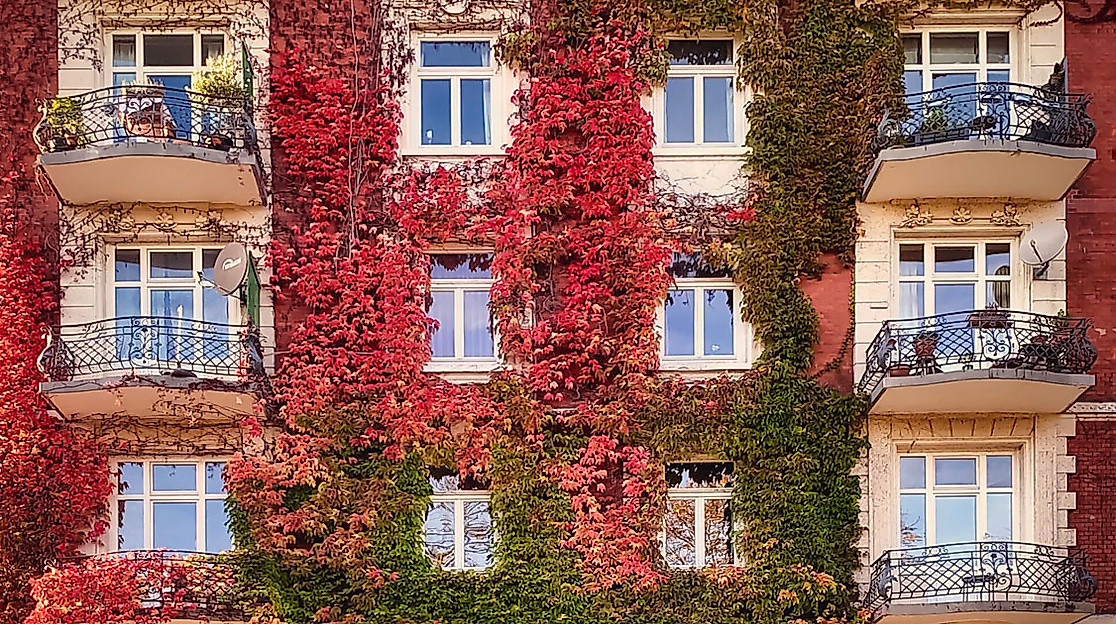Hausfasade in Eimsbüttel