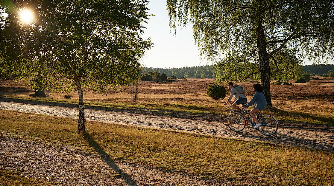 Fahrrad fahren in der Heide