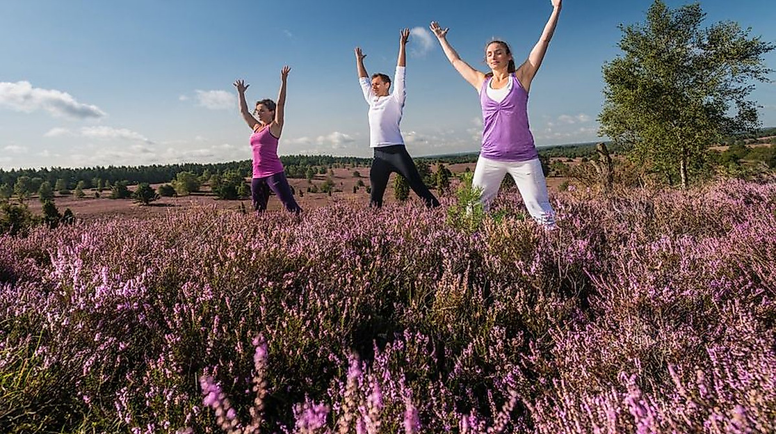 Yogawalking in der Misselhorner Heide