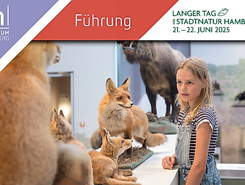 Wilde im Museum Lüneburg zum Langen Tag der Stadtnatur