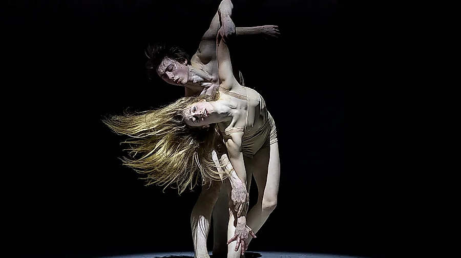 Im Aufschwung XVIII
                                - Das Bundesjugendballett John Neumeier