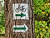 radweg_c-pixabay-erwin66as