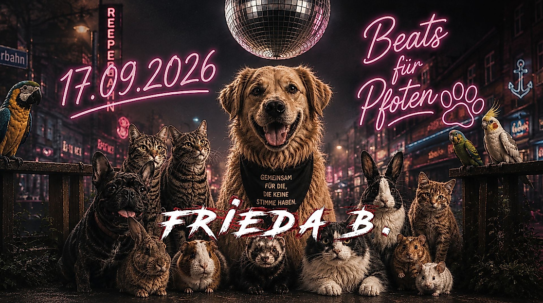 beats-fur-pfoten
