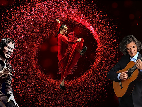Flamenco-Performance im roten Glanz